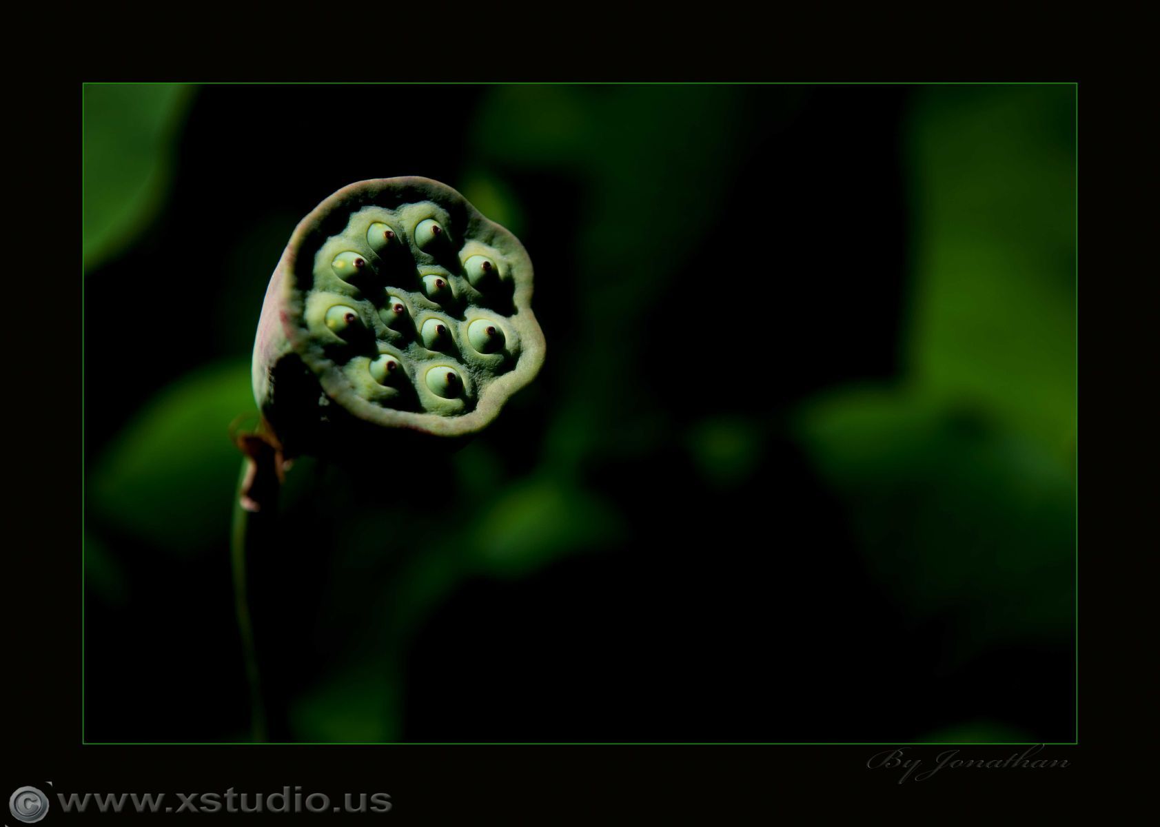 Los Angeles wedding photographer LA wedding photographer LA phhotgrapher OC wedding photographer Orange County  wedding photographer