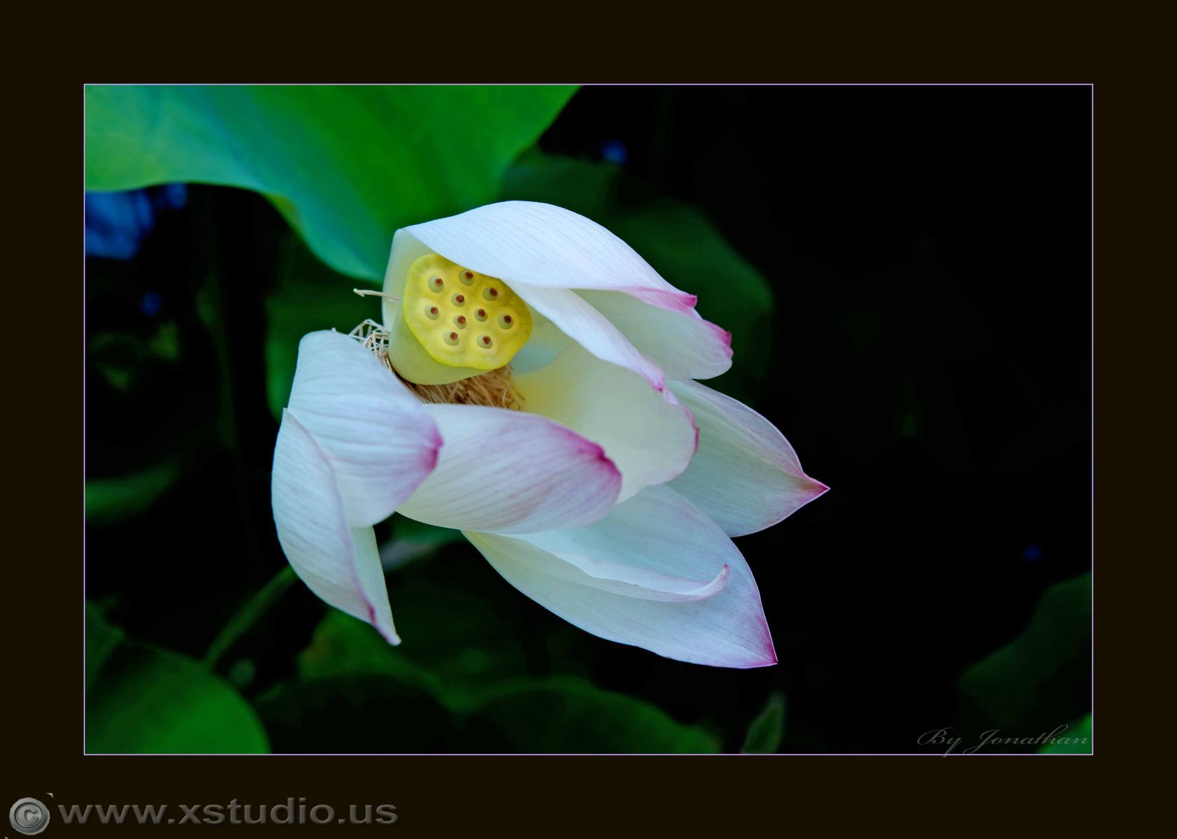 Los Angeles wedding photographer LA wedding photographer LA phhotgrapher OC wedding photographer Orange County  wedding photographer