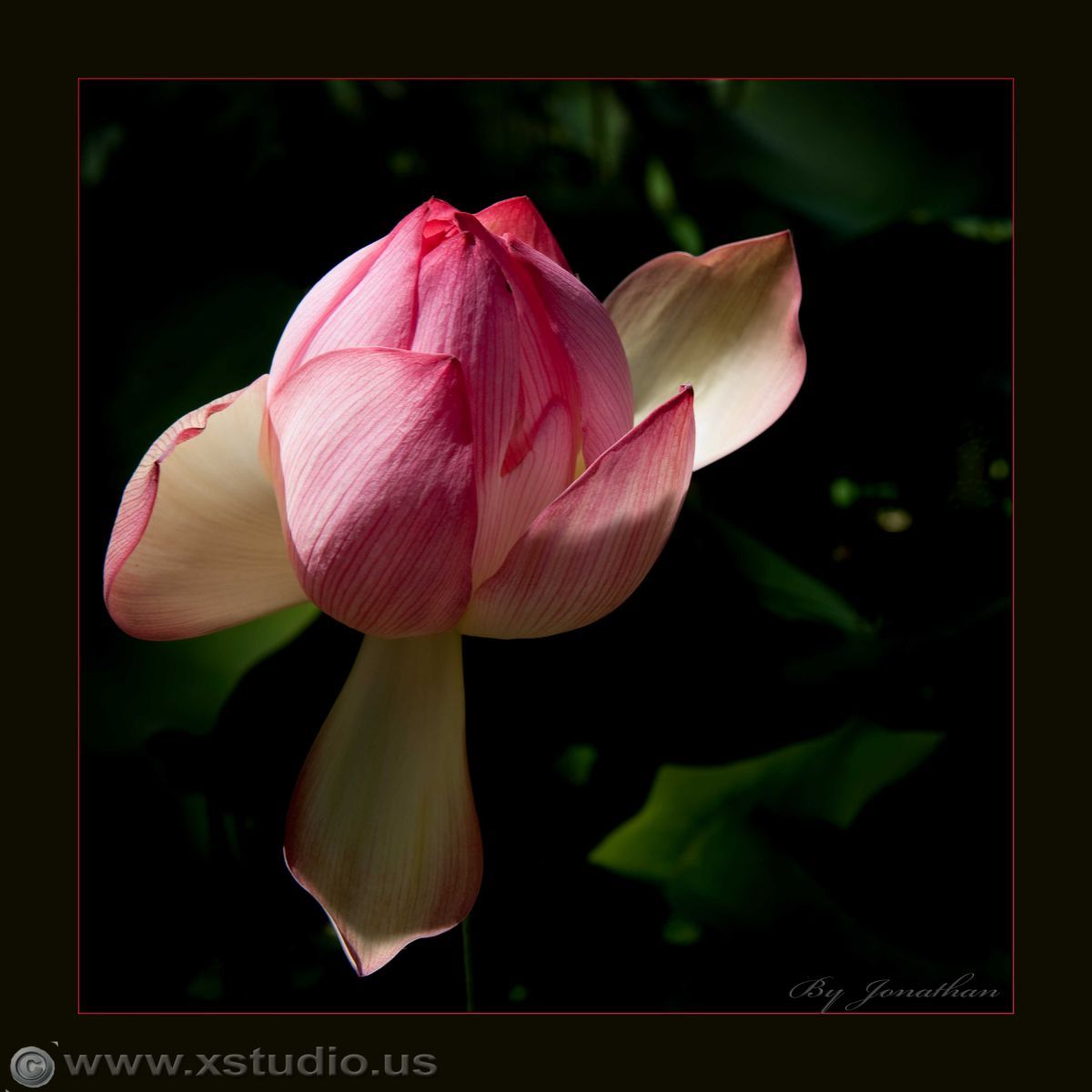 Los Angeles wedding photographer LA wedding photographer LA phhotgrapher OC wedding photographer Orange County  wedding photographer