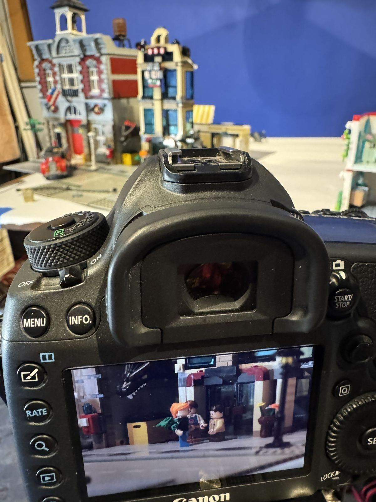 09 Through the lens.jpg