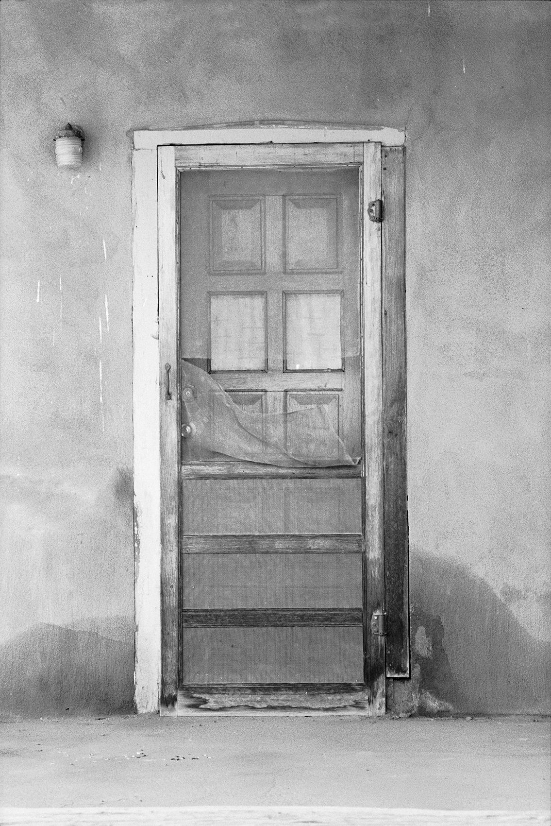 Screendoor_website small.jpg