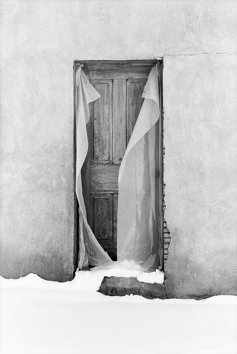 door_website smaller with veil.jpg