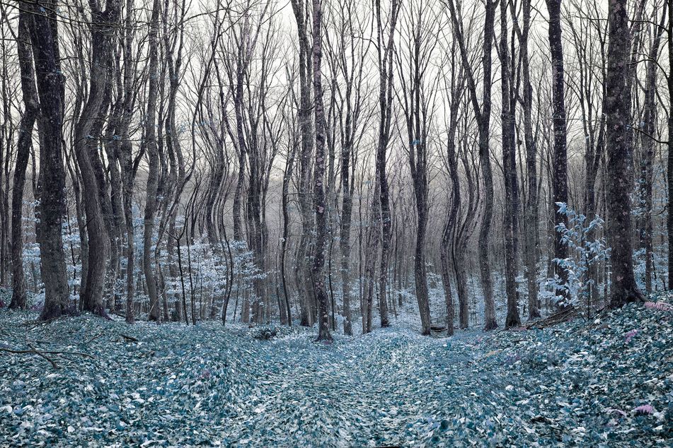 Vermont wind website vers.jpg