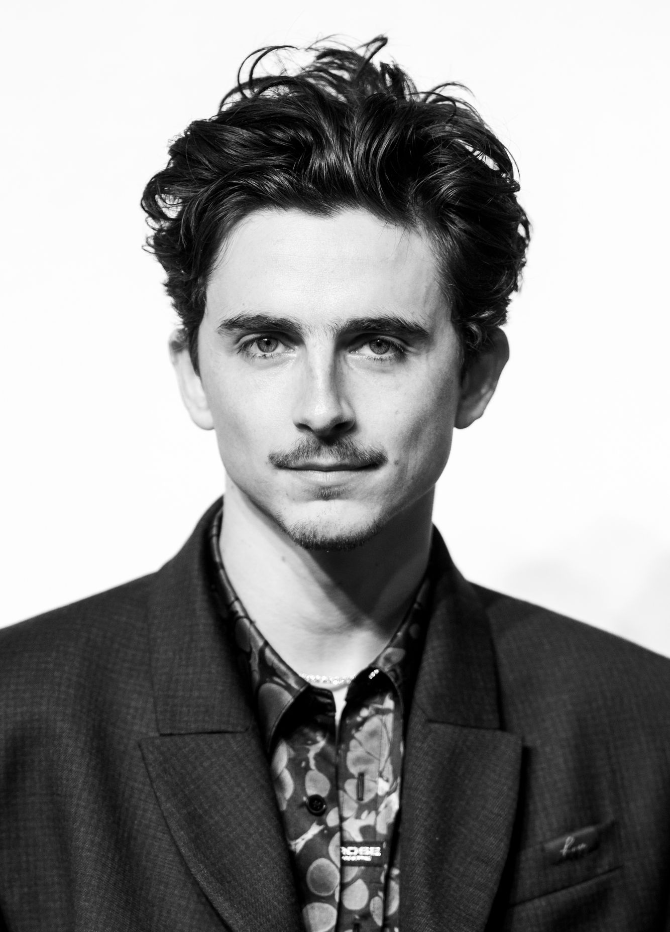 Timothée Chalamet