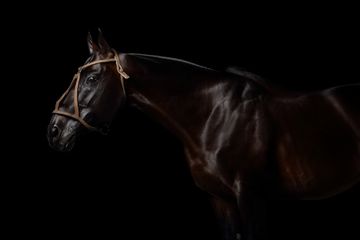 424A0744 web ok copy.jpg