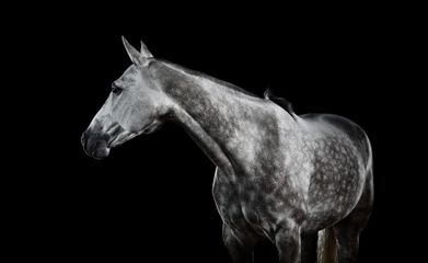 424A7319 livebooks.jpg