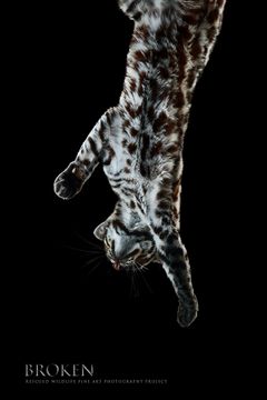 424A9154 1 web II.jpg