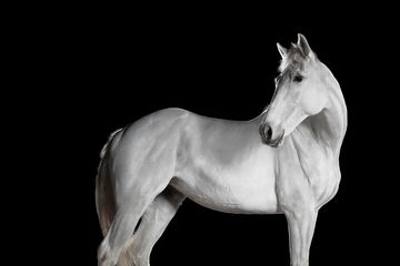 424A6608 livebooks.jpg