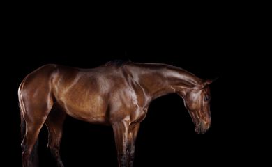 424A6265 livebooks.jpg