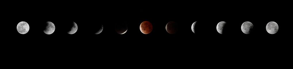 IMG_8499 livebooks.jpg