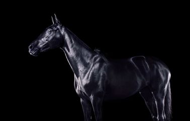 424A6125 livebooks.jpg