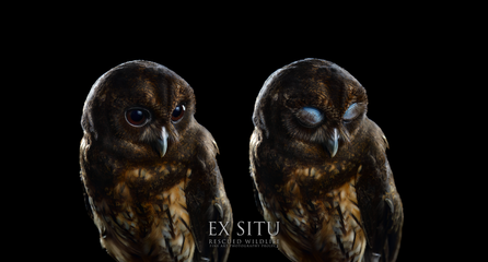 424A4760 & 424A4761 web ok.png