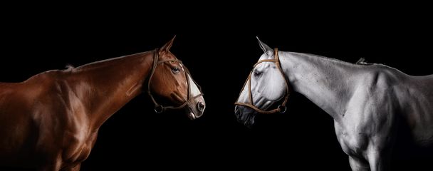 424A0416 web composite.jpg