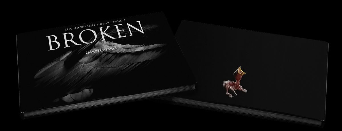 broken cover livebooks web ok.jpg