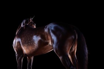 424A6496 livebooks.jpg