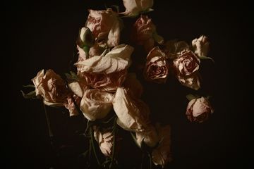 IMG_2168 livebooks.jpg