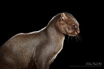 424A8990 web ok 2.jpg