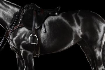 424A6667 livebook.jpg