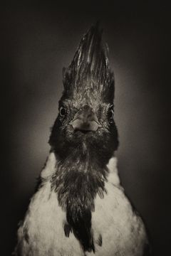 _O3L6510 II web ok.jpg