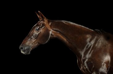 424A7977 livebooks.jpg