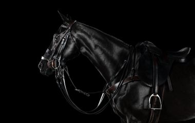 424A6708 livebooks.jpg