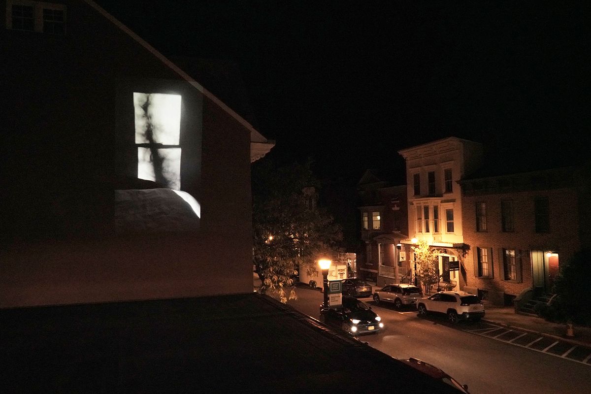 Wide shot Tree Shadows projection.jpg