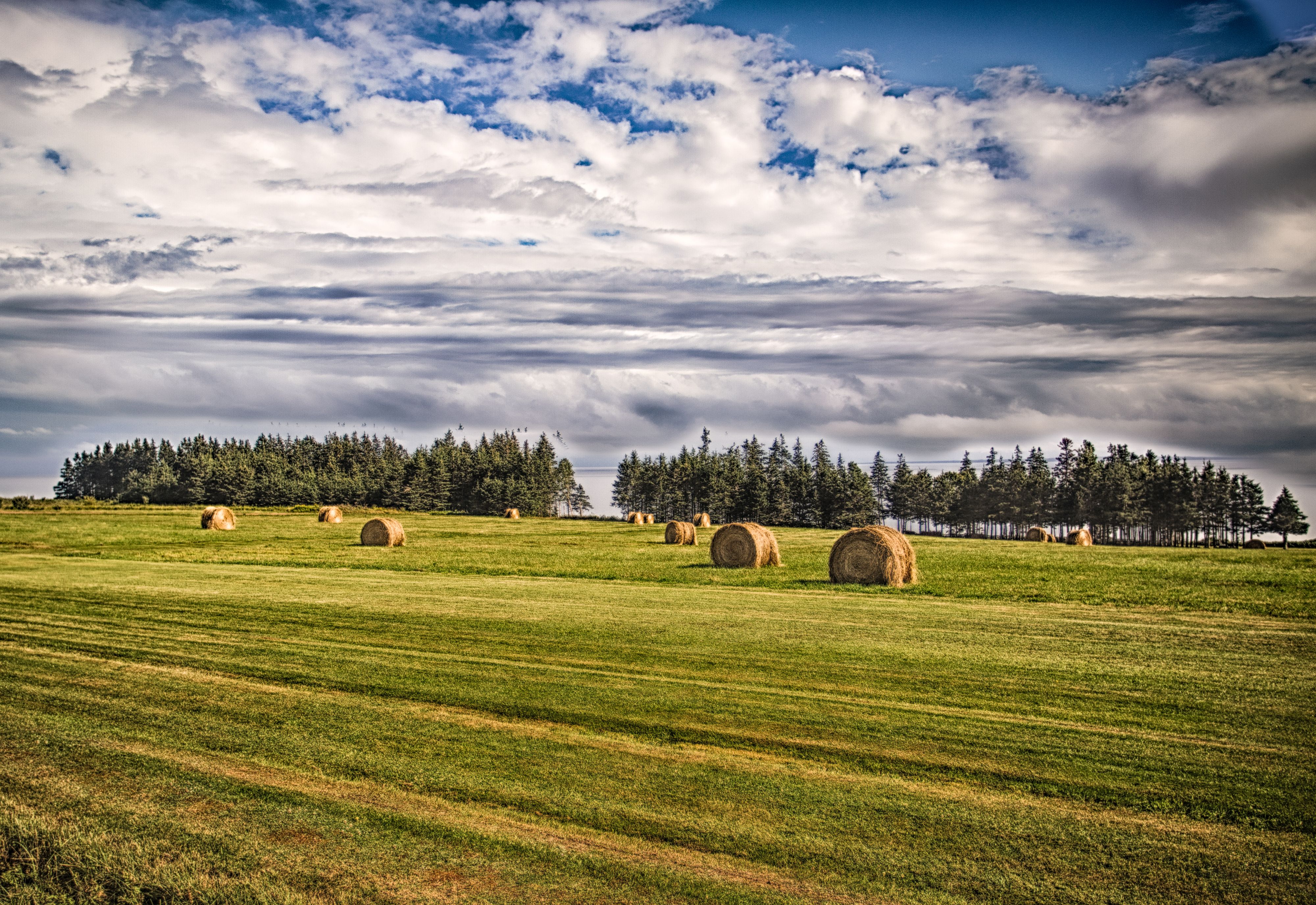Hay Bales