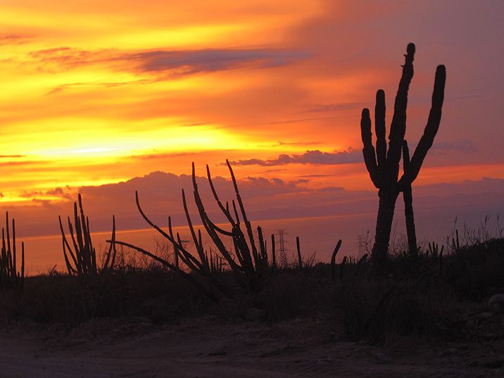 Los colores del atardecer. Presenciar un atardecer entre la brisa del océano pródigo y exuberante y la magia de los cálidos vientos del desierto, es una experiencia única e irrepetible que nos regalan las costas de Baja California Sur.
