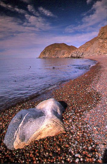 Costa rocosa de la isla Espíritu Santo. Los litorales rocosos de las islas y del Golfo de California se caracterizan por su abundancia de rocas sólidas y piedras. En ellos, habitan mejillones, cangrejos, abulones, caracoles, pepinos de mar, estrellas, anémonas y pulpos.