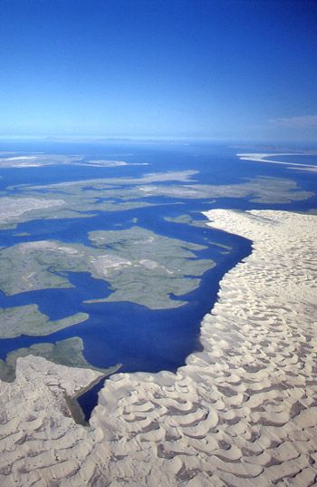 En Bahía Magdalena, se combinan lagunas, canales, esteros, manglares, playas de barrera e islas de dunas que, además de su belleza paisajística, contribuyen a la gran biodiversidad del lugar.