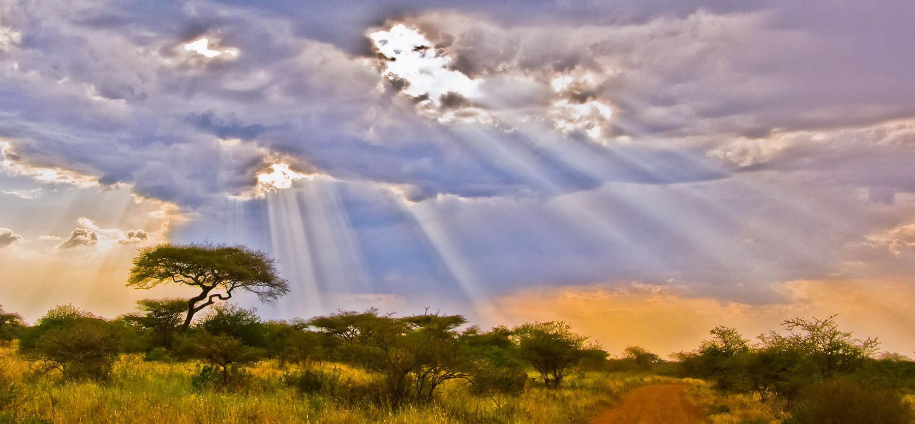 Serengeti Plains, Tanzania