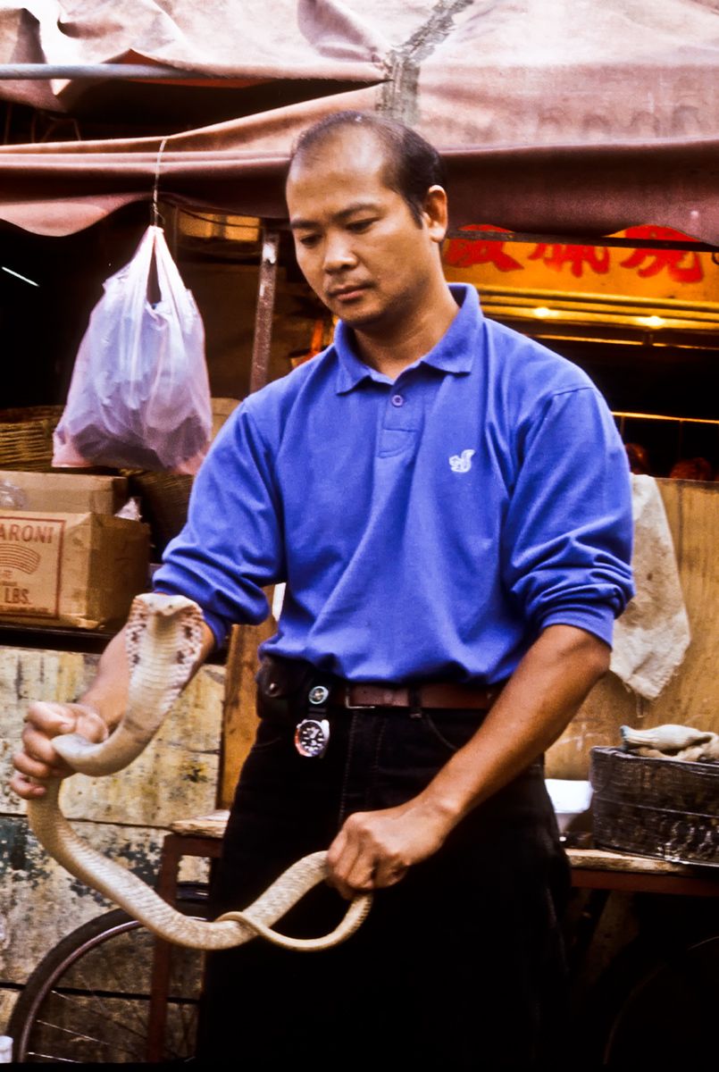 Vendor holding Cobra, Hong Kong-China Border