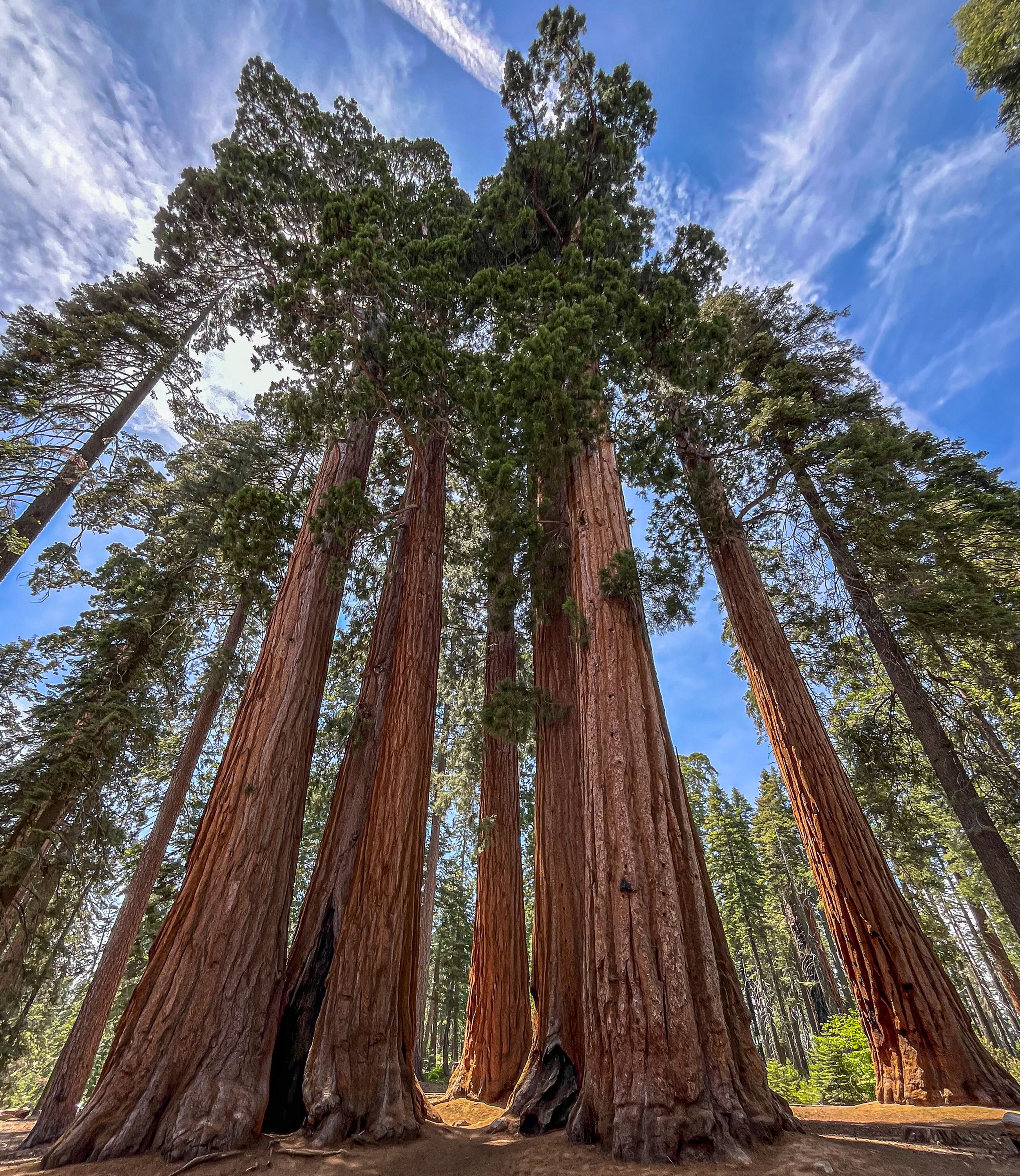 Sequoia National Park, California