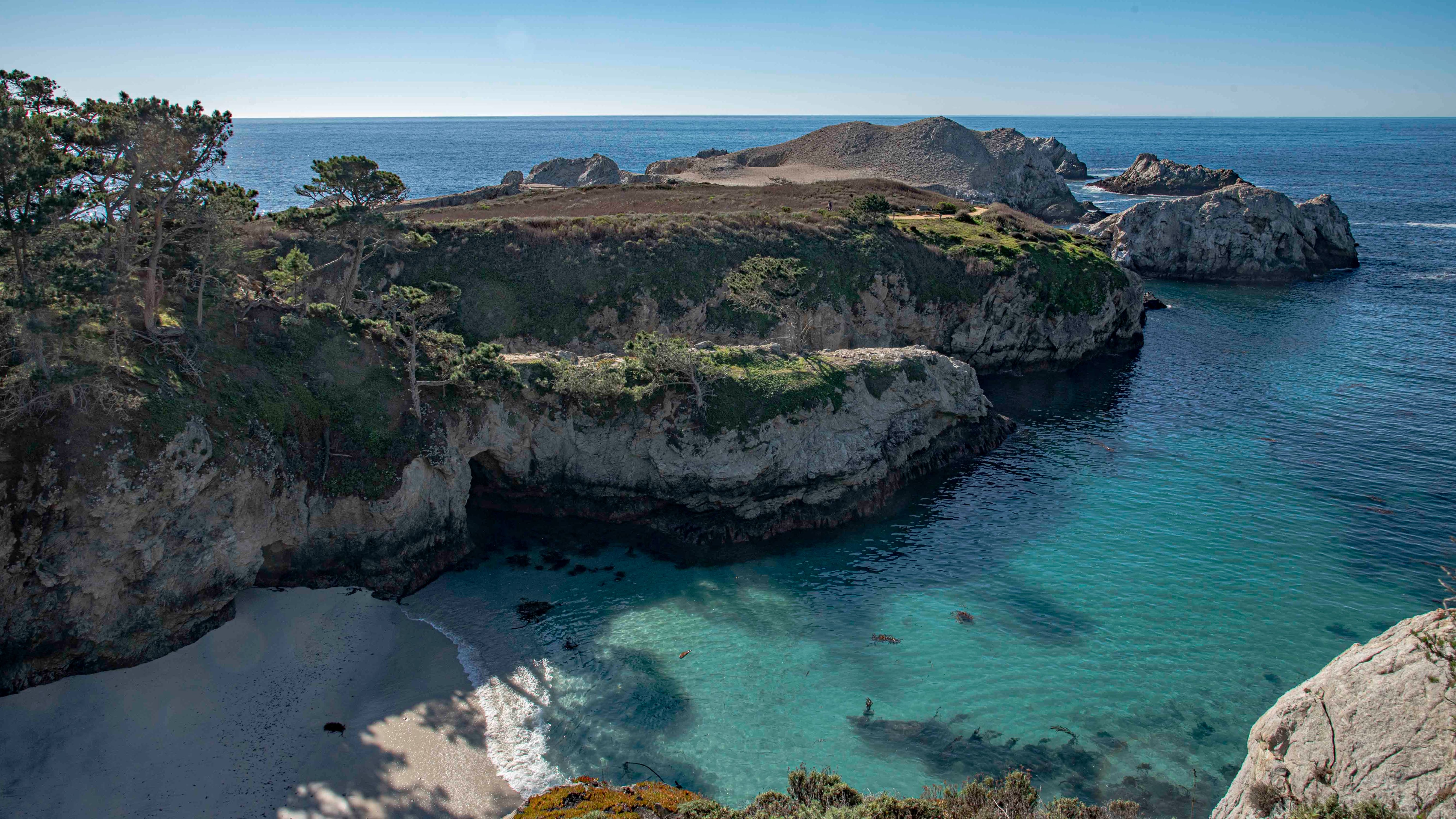 Point Lobos, Carmel, California