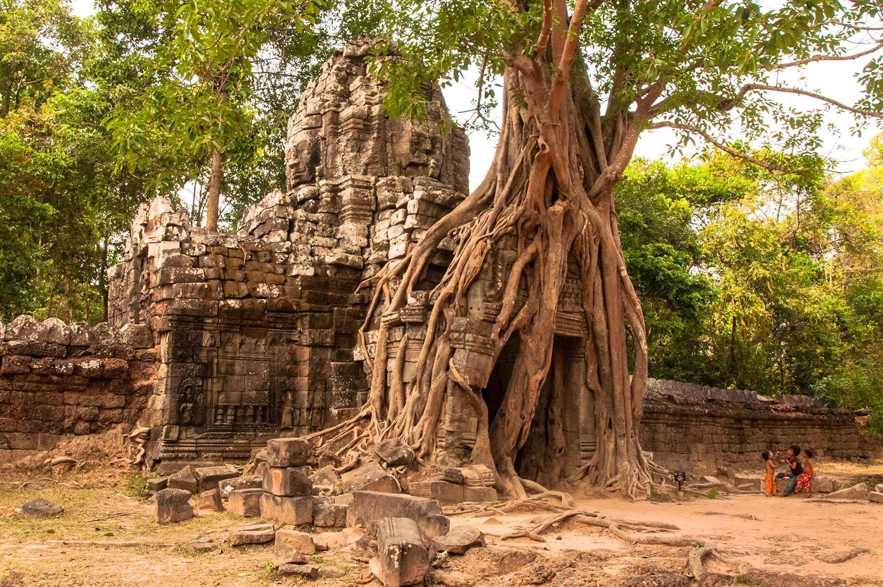 Ta Prohm portal, Angkor, Cambodia