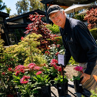 Jones Group - The Garden -.jpg