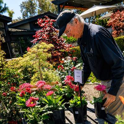 Jones Group - Garden.png