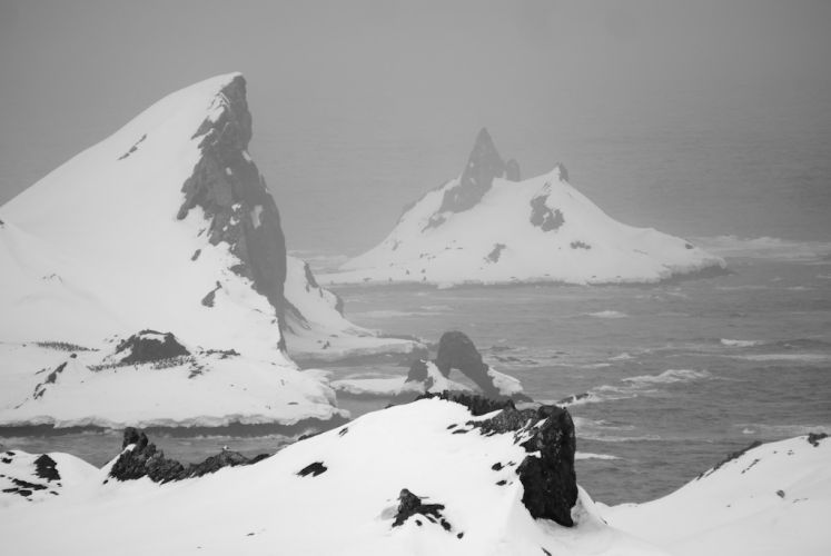 Snow storm on the penguin colony