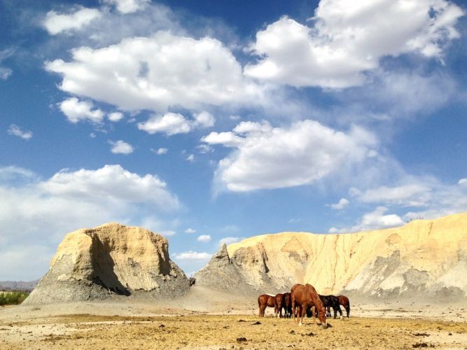 Terlingua, Texas