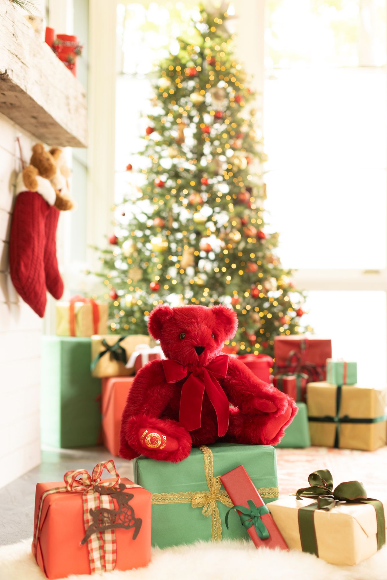 Day-2_18_Xmas_AnniversaryBear_0966.jpg