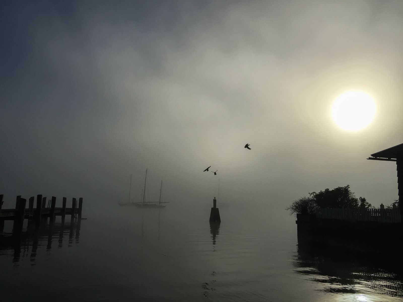 Misty Dock Essex CT