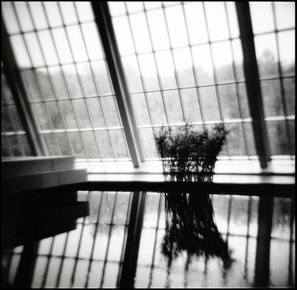 Reeds Reflection Temple of Dendar