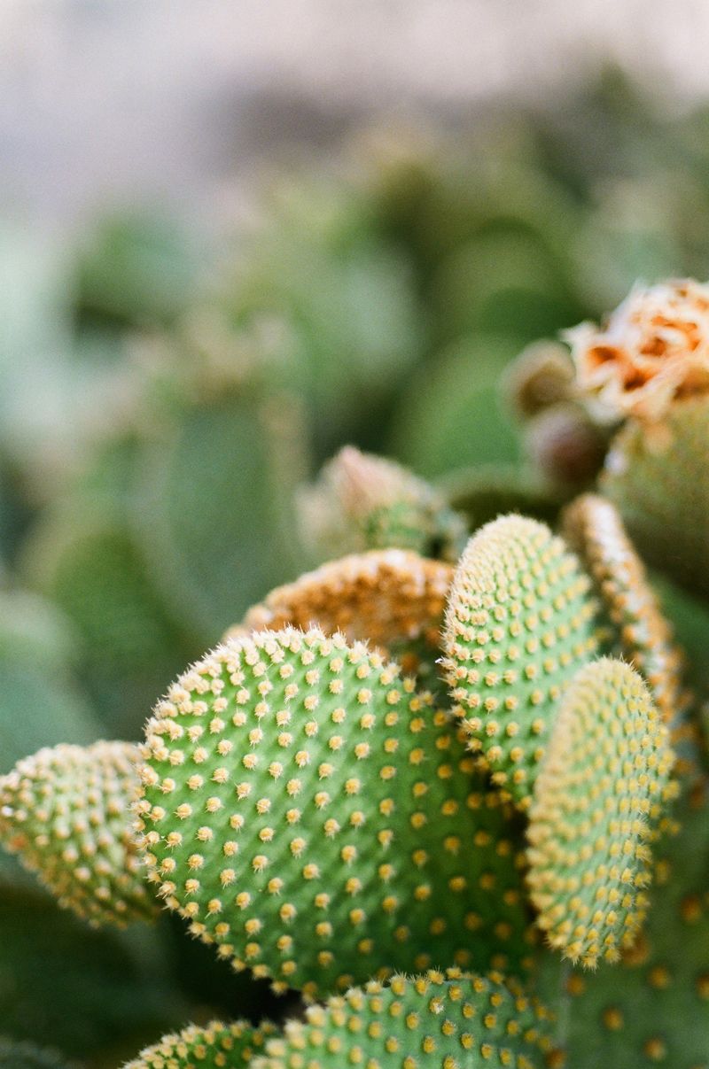 garden059.jpg