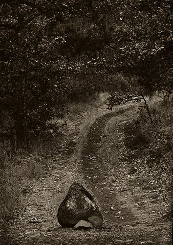 path   with   a   heart