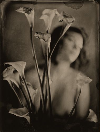 stacy   burden   of   beauty   2