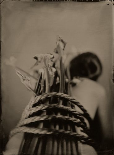 lalanya   burden   of   beauty