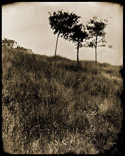 sanga - sprit   rock