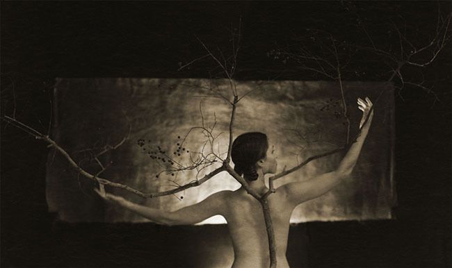 lalanya  with  branches