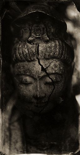 cracked   buddha