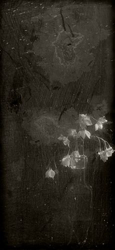 miniature vase and flowers